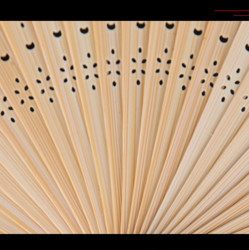 Elegant Japanese Silk Bamboo Fan